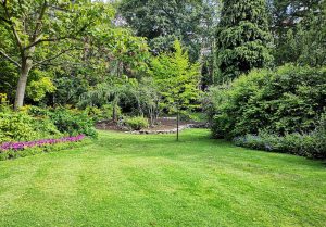 Optimiser l'expérience du jardin à Breidenbach